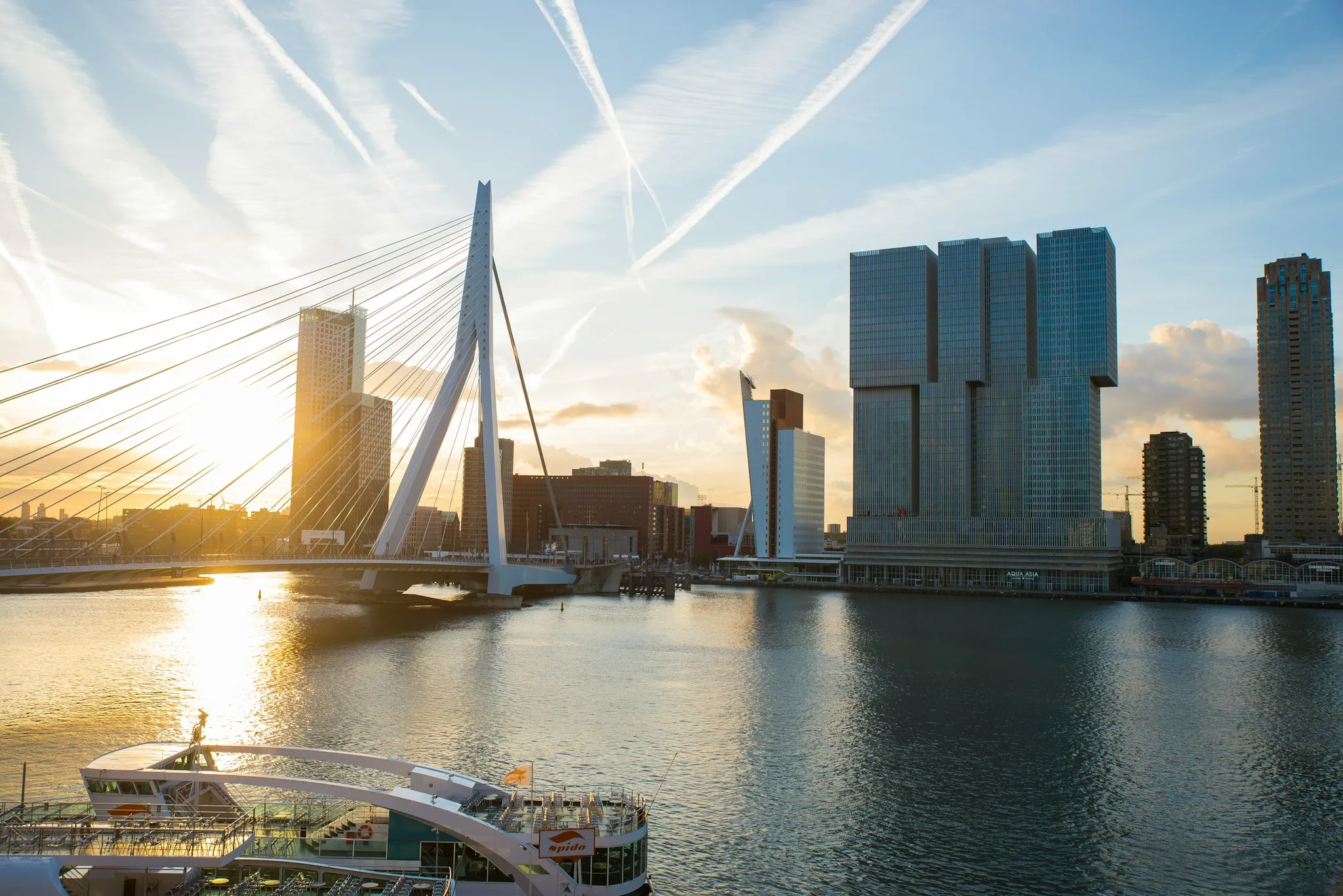 Monitoring nieuw bermbeheer gemeente Rotterdam